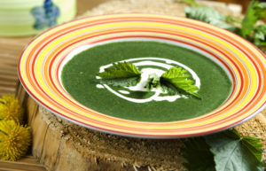 neslesuppe i skål