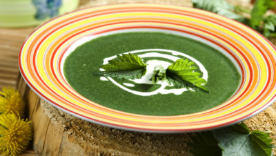 neslesuppe i skål