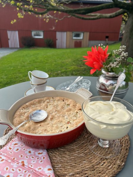 Rabarbrakake med havregrynmarengs